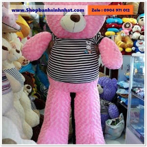 Gấu Bông Teddy Hàn Quốc - GAU84